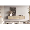 Тумба ТВ FRIDA 24DOMT39 2D2S дуб масляний: фото 5